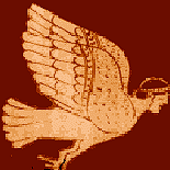 harpie grecque