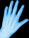 main transparente
